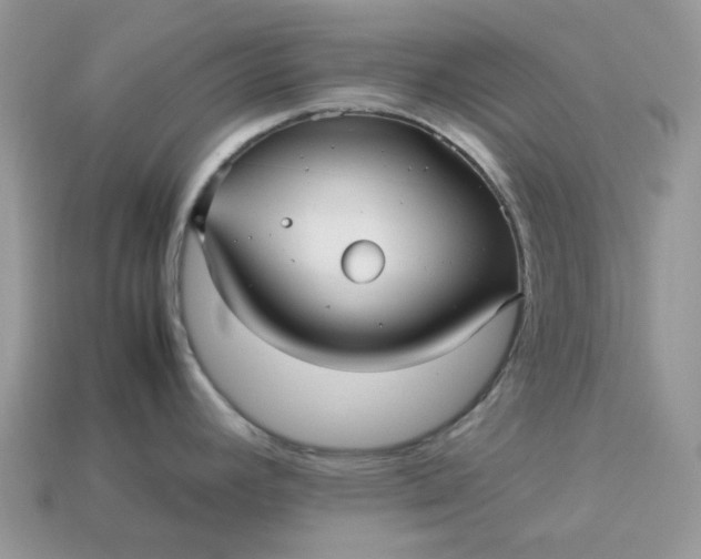 X0000113041392200909101909