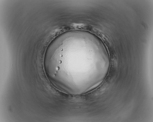 X0000113041393200909101908