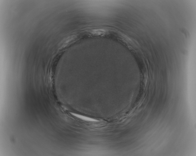 X0000113041394200909101908