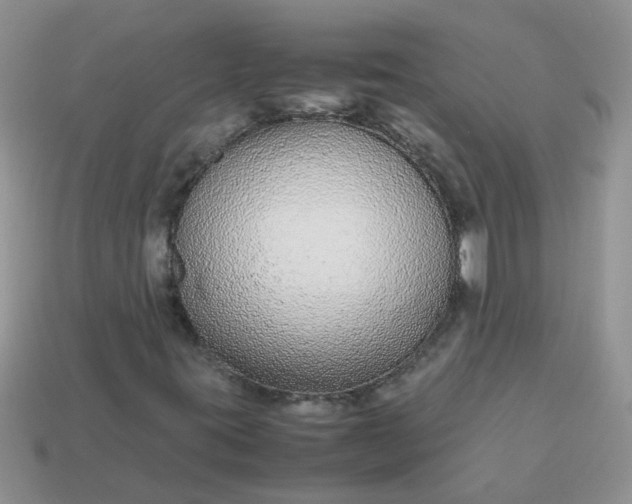 X0000113041395200909101908