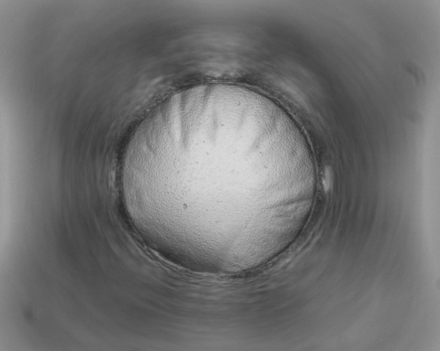 X0000113041396200909101908