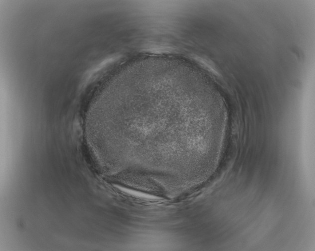 X0000113041398200909101908