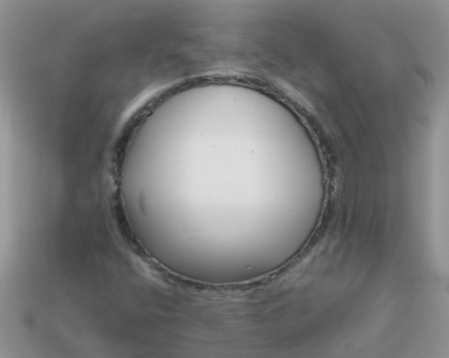 X0000113041400200909101908