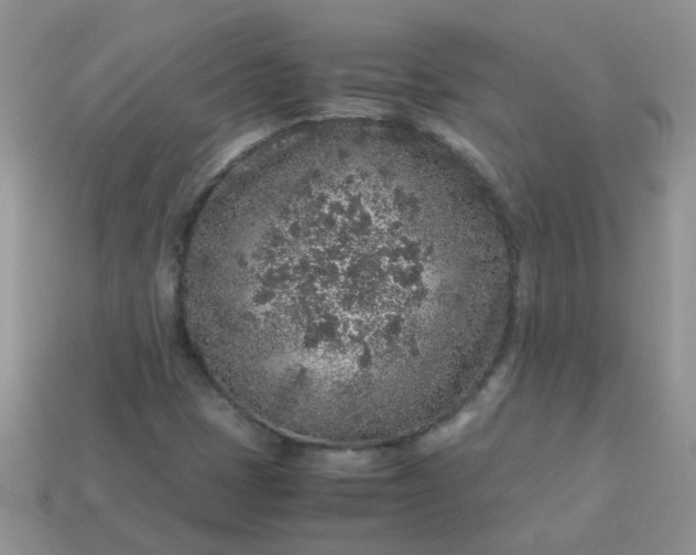 X0000113041401200909101908
