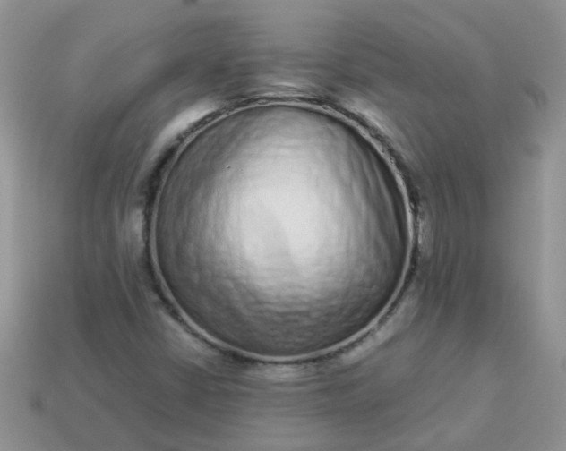 X0000113041402200909101908