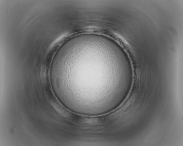 X0000113041403200909101908