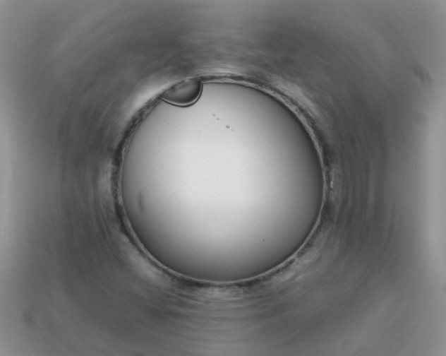 X0000113041404200909101908