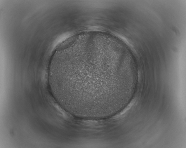 X0000113041405200909101908
