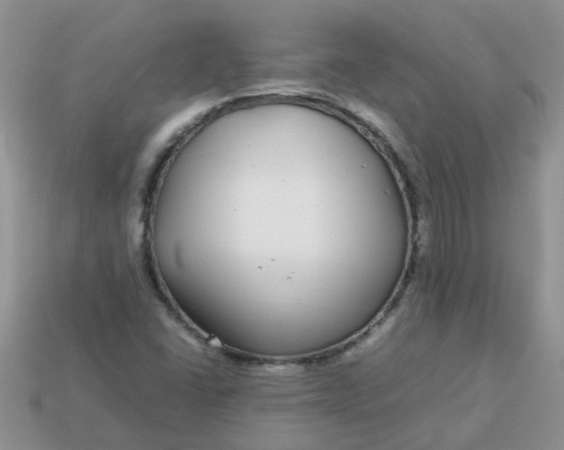 X0000113041406200909101908