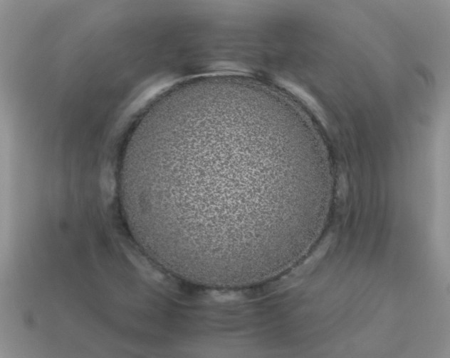 X0000113041407200909101909
