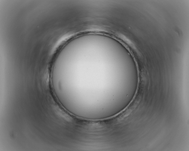 X0000113041408200909101909