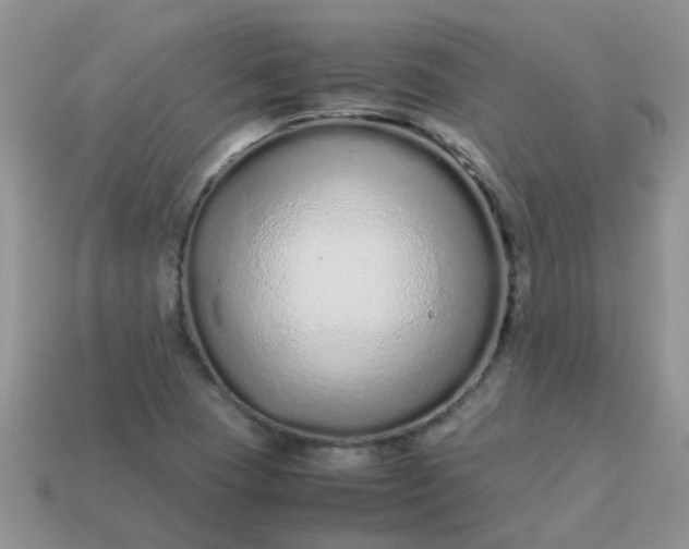 X0000113041409200909101909