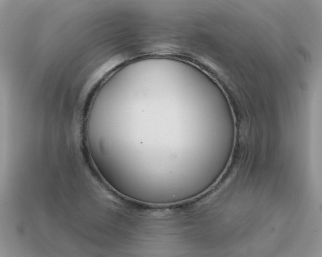 X0000113041410200909101909