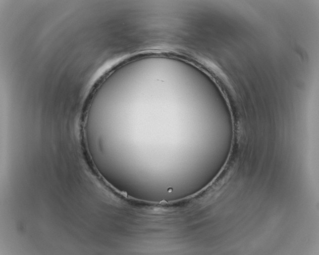 X0000113041412200909101909