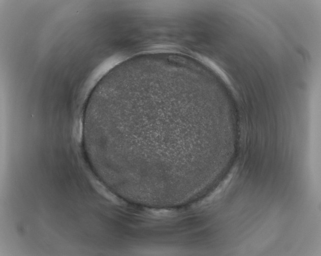 X0000113041413200909101909