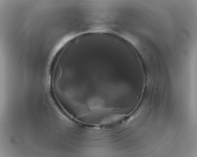 X0000113041414200909101909