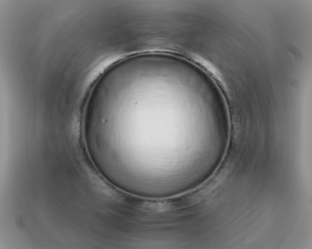 X0000113041415200909101909
