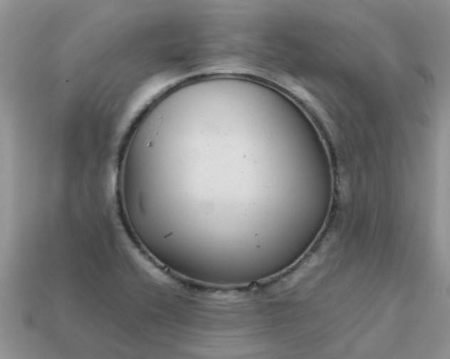 X0000113041416200909101909