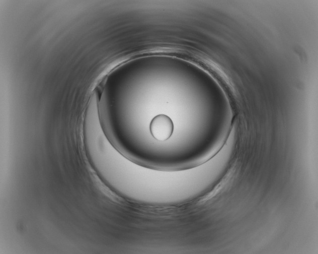 X0000113041417200909101909