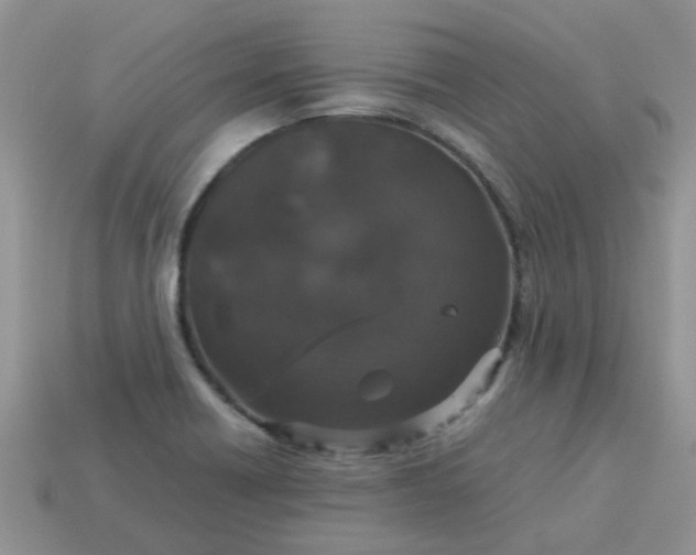 X0000113041418200909101909