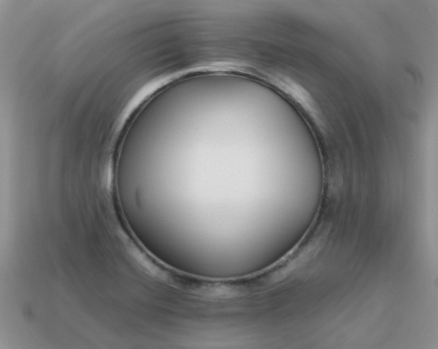 X0000113041420200909101909