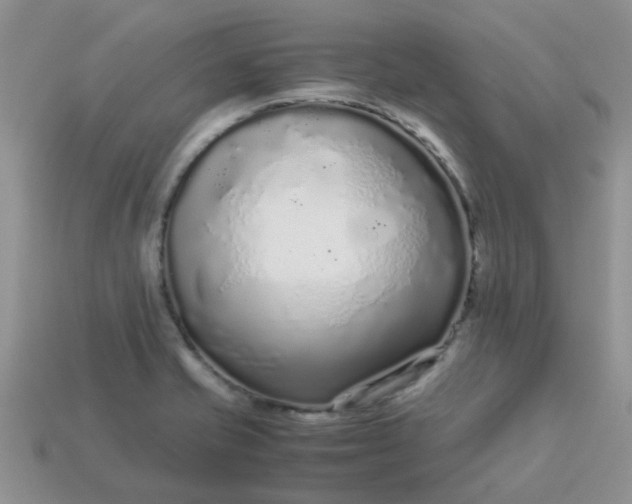 X0000113041421200909101909