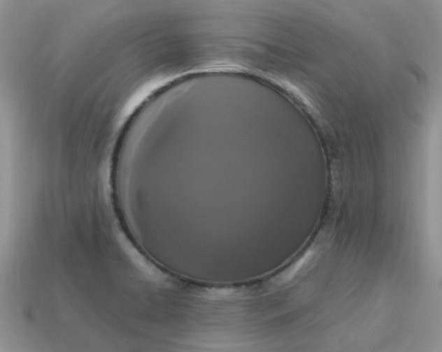 X0000113041422200909101909