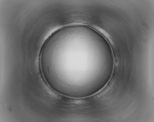 X0000113041423200909101909