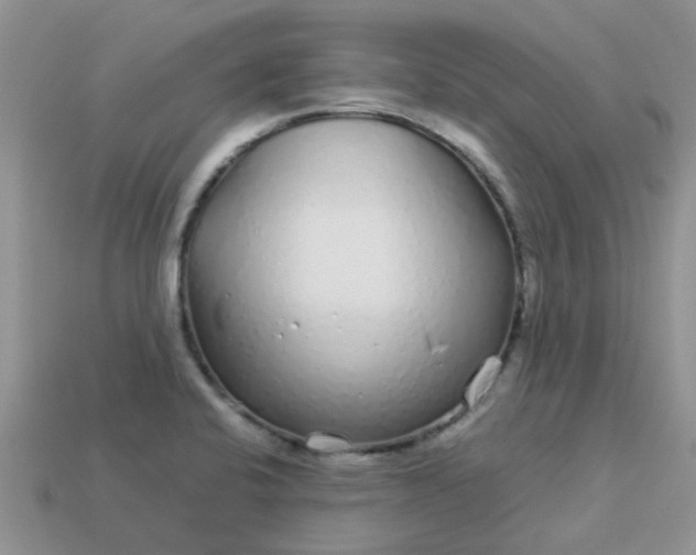 X0000113041424200909101909