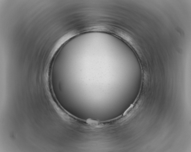 X0000113041426200909101909