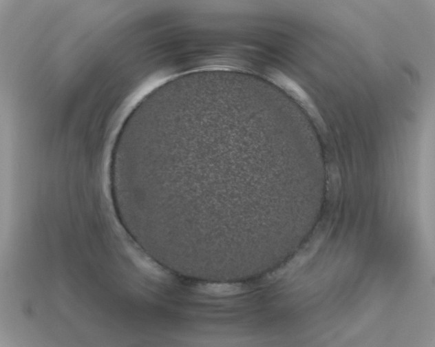 X0000113041427200909101909