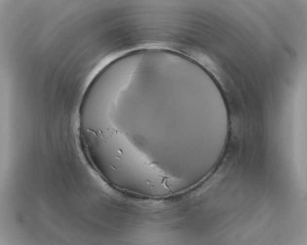 X0000113041428200909101909