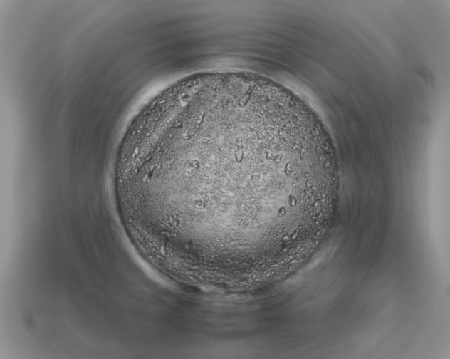 X0000113041429200909101909