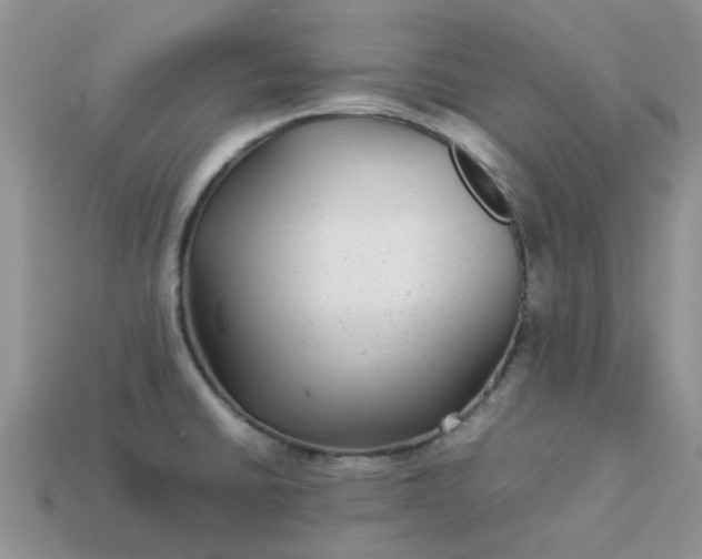X0000113041430200909101909