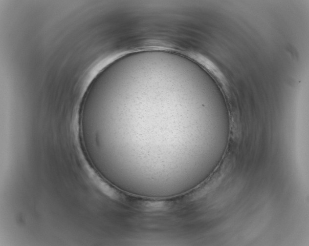 X0000113041431200909101909