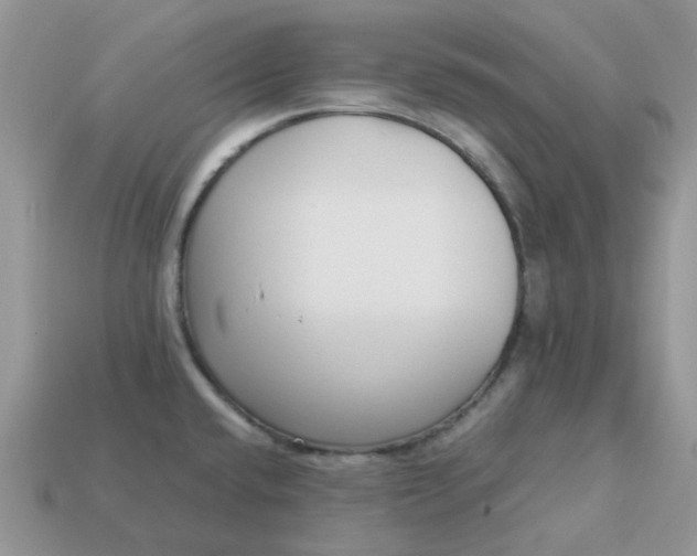 X0000113041432200909101909