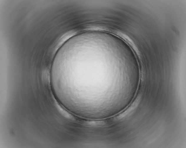 X0000113041433200909101909