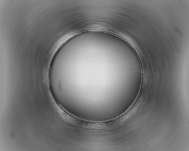 X0000113041434200909101909