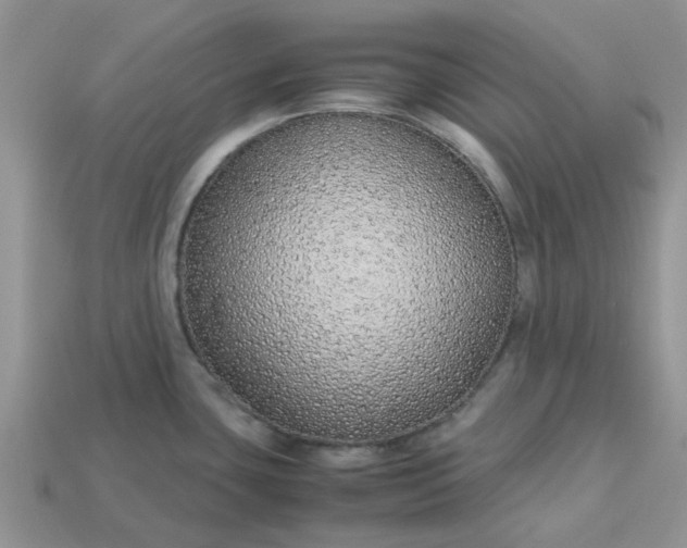 X0000113041435200909101909