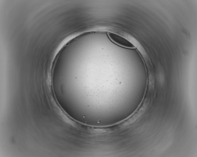 X0000113041436200909101909