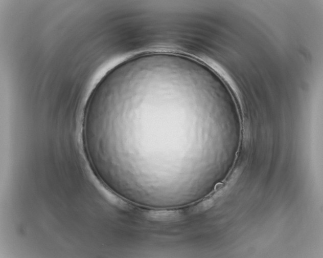 X0000113041437200909101909