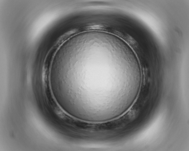 X0000113041438200909101909