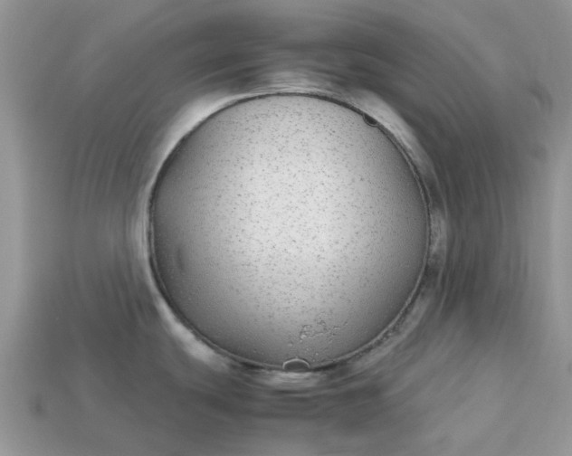 X0000113041439200909101909