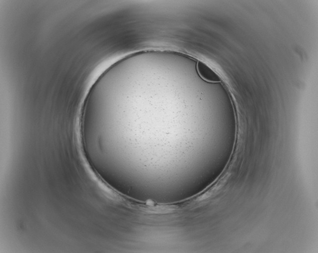 X0000113041440200909101909