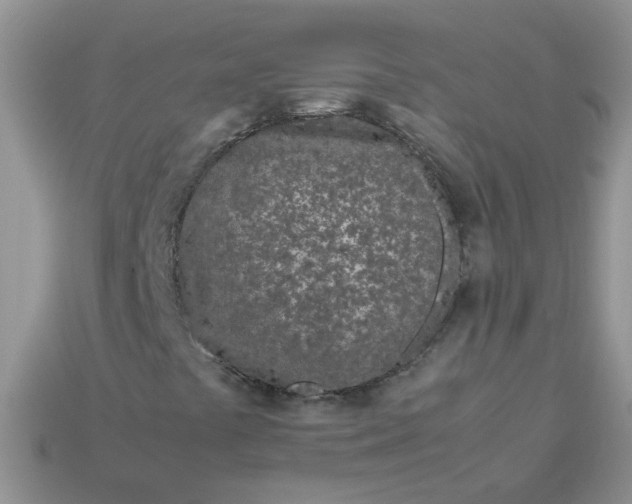 X0000113041441200909101908
