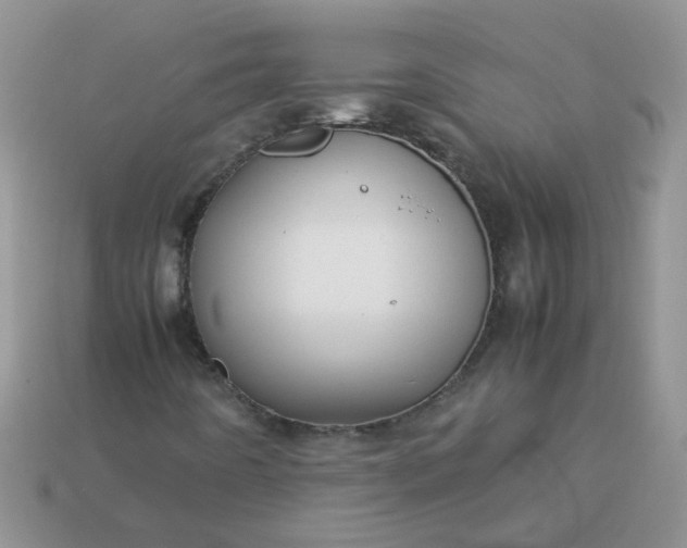 X0000113041442200909101908