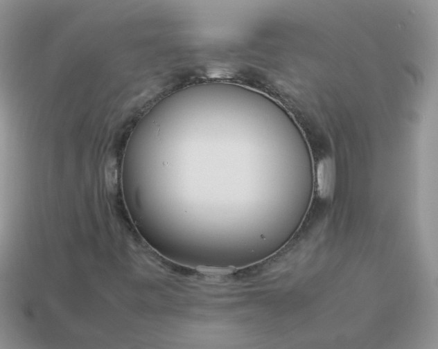 X0000113041443200909101908