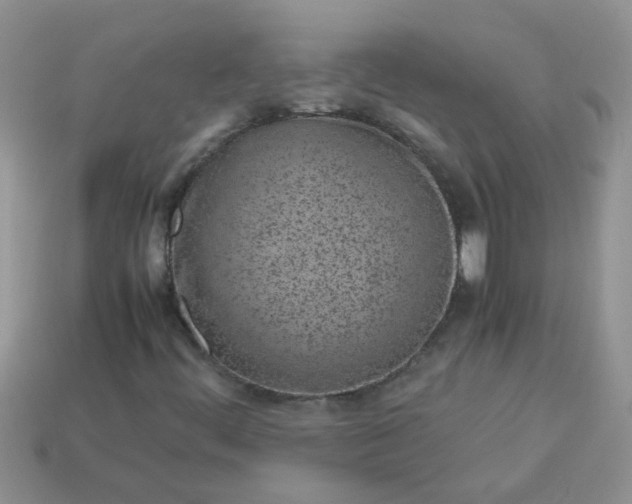 X0000113041444200909101908