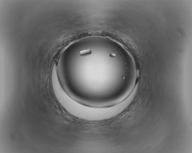 X0000113041445200909101908
