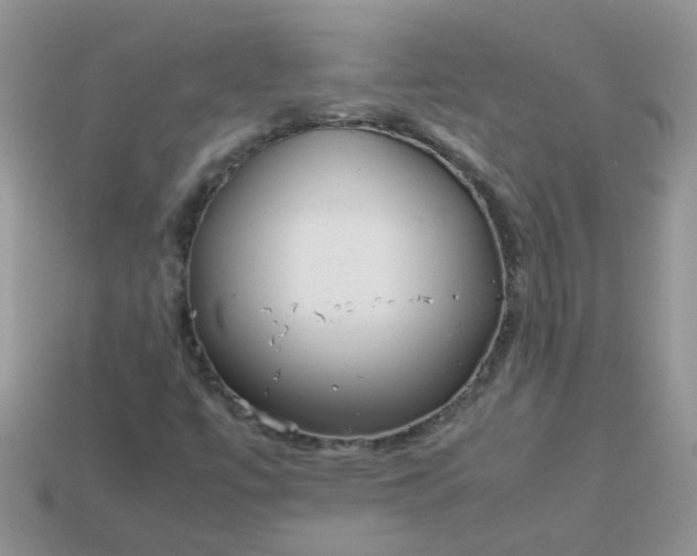 X0000113041447200909101908